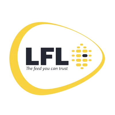 2-removebg-preview-1