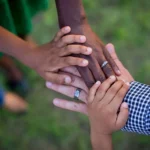 Un terrain pour le développement rocheboisien